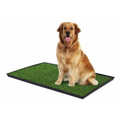 Pet Potty Comodo Sanitario Baño Ecologico Xxl Perros Y Gatos - Mi tienda