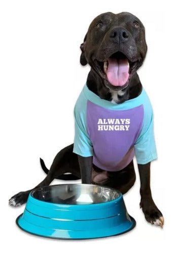 Plato Comedero Aluminio Grande Colores Para Mascotas Perros