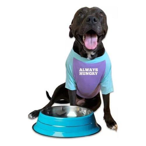 Plato Comedero Aluminio Grande Colores Para Mascotas Perros - Mi tienda