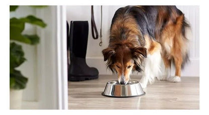 Plato Comedero Aluminio Grande Colores Para Mascotas Perros - Mi tienda 