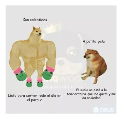 Super Pack X6 Calzado Calcetines Fashion Mascota Perro Gato - Mi tienda 