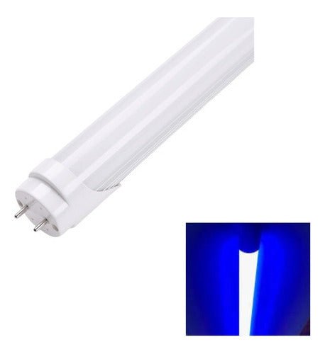 Tubo Led Luz Colores T8 18w 1.2 Con Canoa 220v