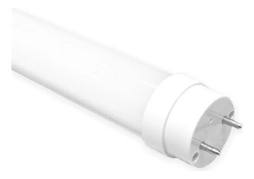 Tubo Led T8 9w 60cms Vidrio 900lm Want 2 Años Garantía - Mi tienda 